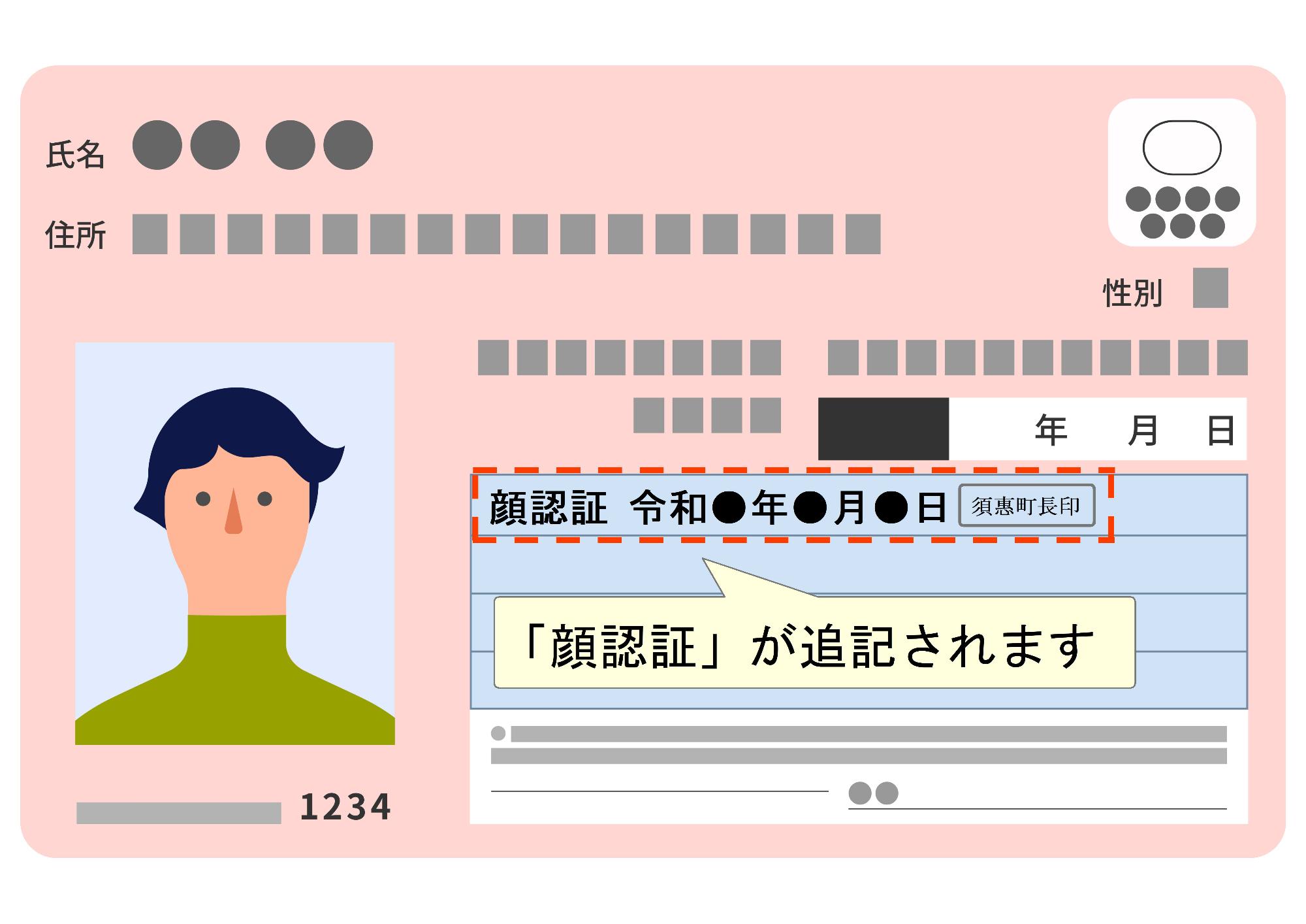 マイナンバーカード写真のサイズの注意点や撮り方を申請方法別に解説