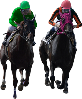 母の夢を繋いで、37度目の正直へ佐藤ワタルの地方＆海外攻略法競馬ラボ