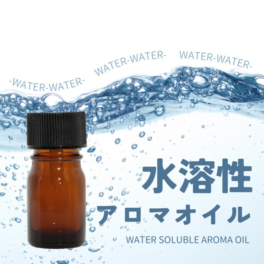 水溶性アロママッサージオイルG（グレープフルーツの香り）1000ml【日本製】の卸・通販 | ビューティガレージ