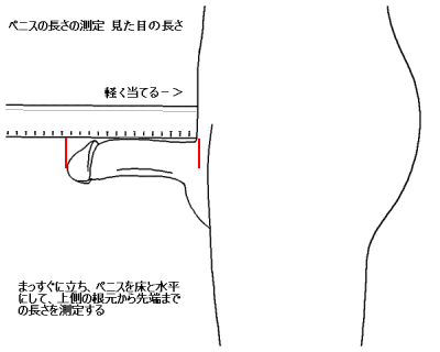 【一人称視点】巨根少年のフル勃起ちんぽ測定