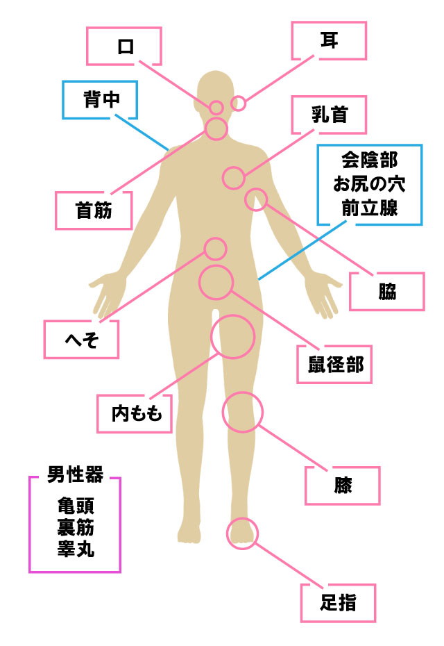 男には18個の性感帯があるって知ってた？【性感帯マップ付き】｜BLニュース ちるちる