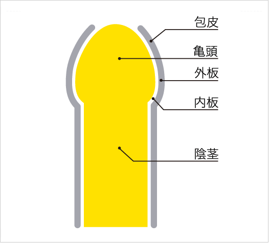 真性包茎（しんせいほうけい）について｜ほうけい手術・治療の皐月クリニック