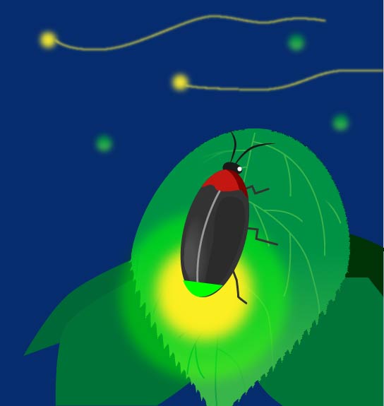 ホタル鑑賞おすすめスポット2022 - 奈良寺社ガイド