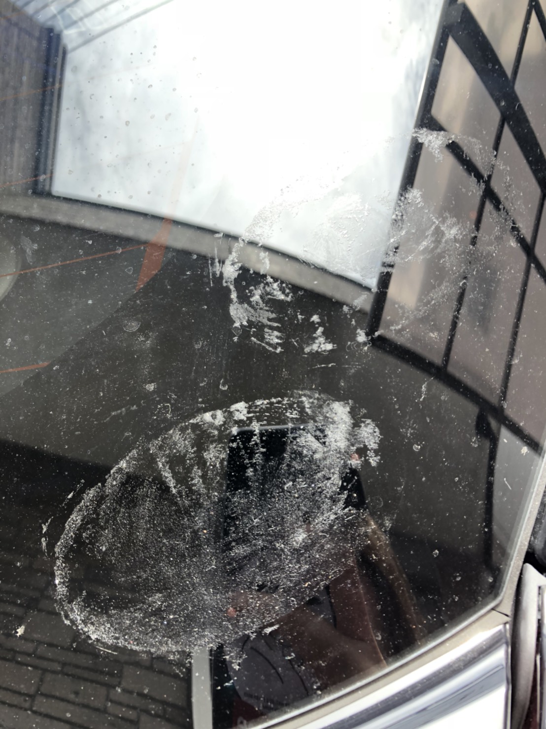 フロントガラスに付着したシール・ステッカー跡をはがす大阪のレンタカーテラニシモータース