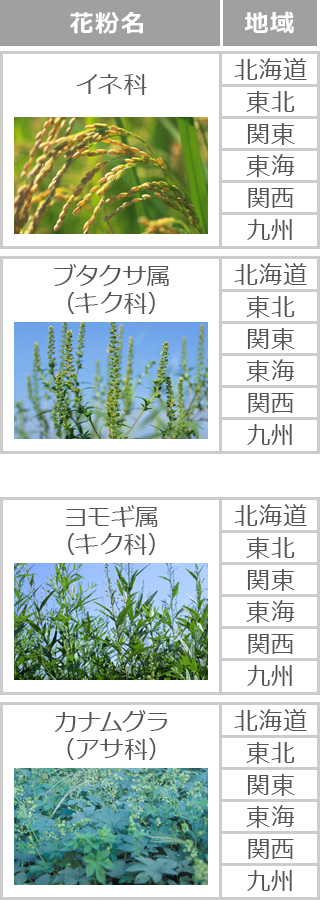 雑草：名もなき草の名（04）～十朱幸代さんの歌で知ったセイタカアワダチソウのはなし～ – ミカドONLINE