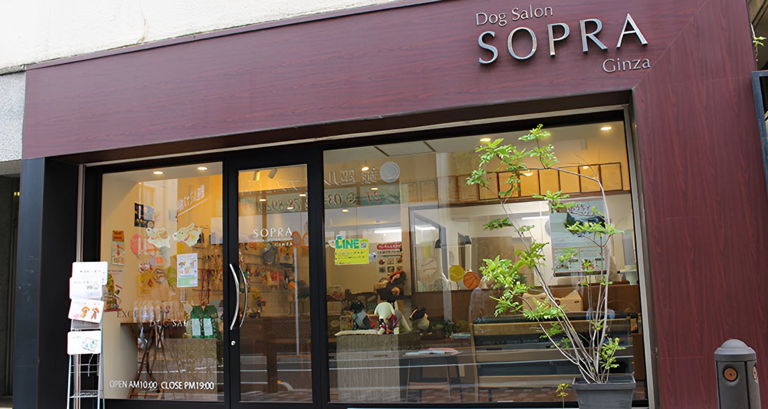 ソプラペット&カフェ恵比寿店@soprapet.ebisu· Shibuya-ku, Tokyo