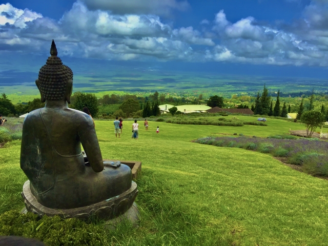 権化」の意味と使い方や例文！「化身」との違いは？ 類義語・対義語– 二字熟語の百科事典