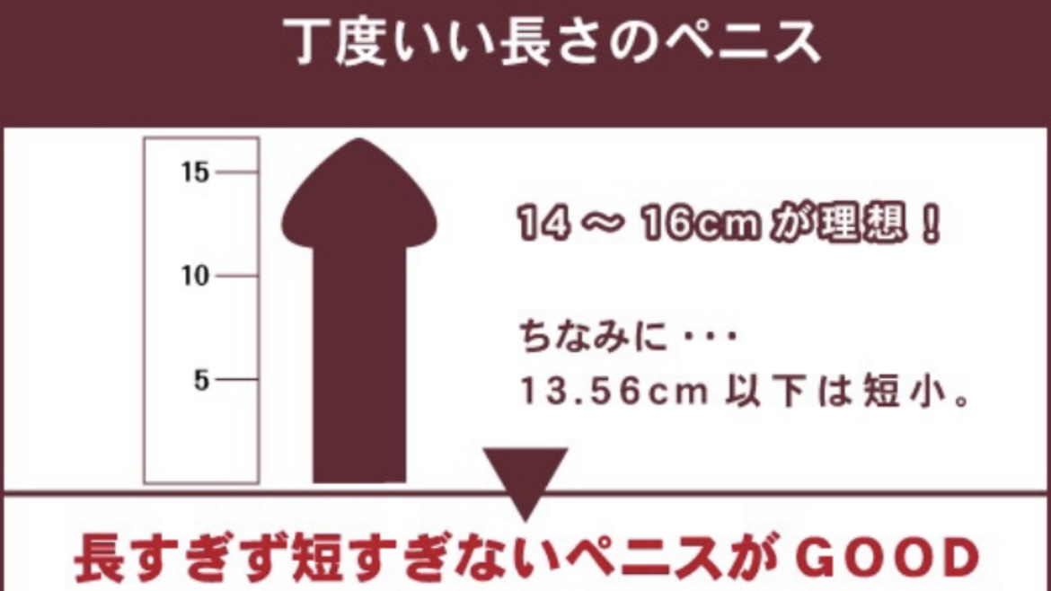 ペニスの大きさ平均は13cm！女性の理想サイズはさらにデカい！？｜薬の通販オンライン