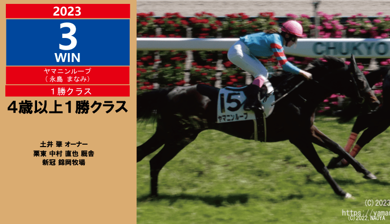 新潟7R “千直”で5年ぶり1枠1番が勝利 永島まなみ殊勲の内ラチ駆け「腹をくくって」 - スポニチ競馬Web