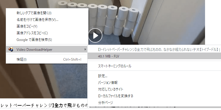 2024年6月更新 ビデオダウンロードヘルパーでコンパニオンアプリがインストールできない原因と対策 Ubuntu 2022.04 - 日常