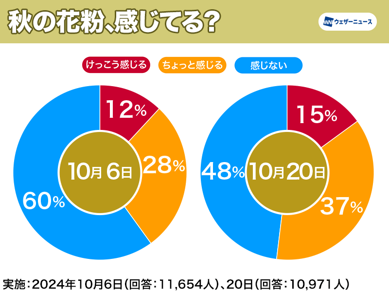 ブタクサ咲いてました - しんでん東耳鼻咽喉科