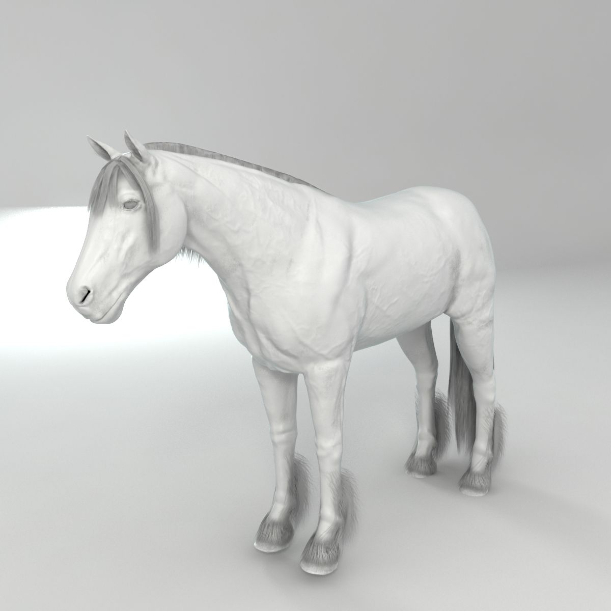 オカラ：ジプシー・ゴールド・ホース・ファーム ガイド付きウォーキングツアーGetYourGuide