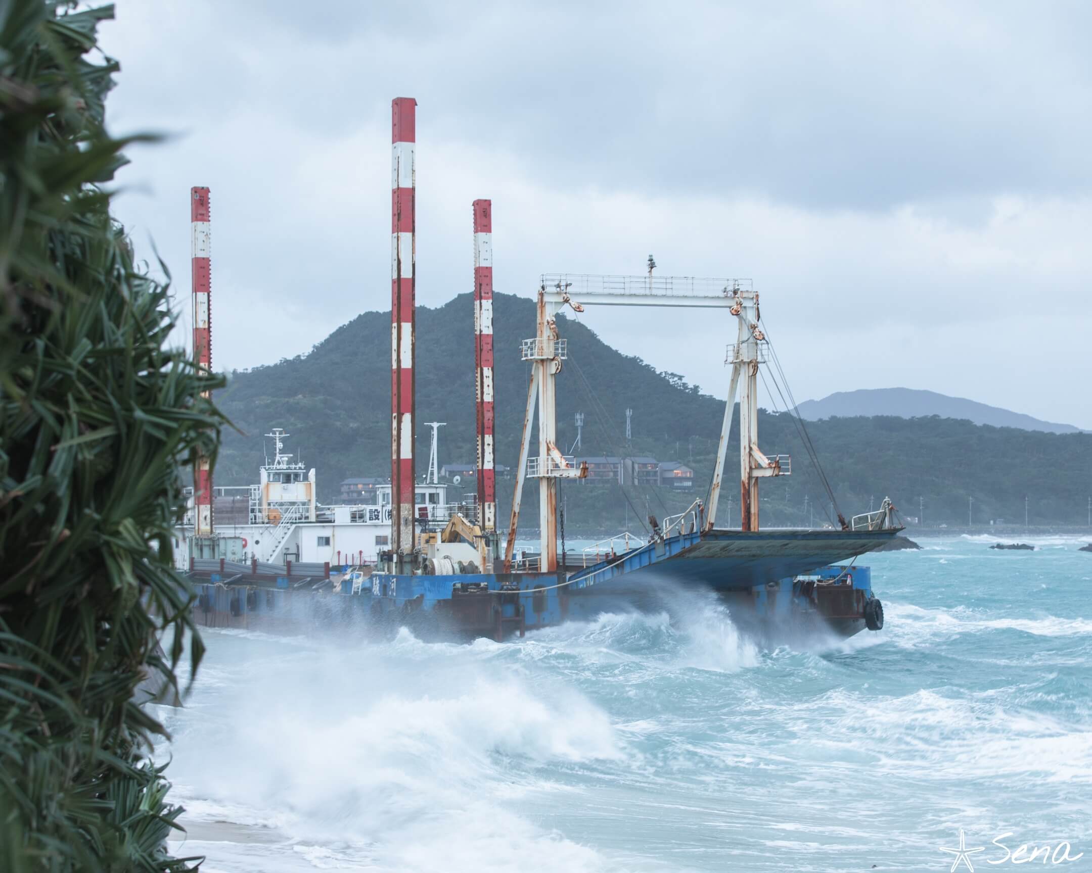 コンテナ船とは？海運業界の豆知識を解説します - ハレコンテナ