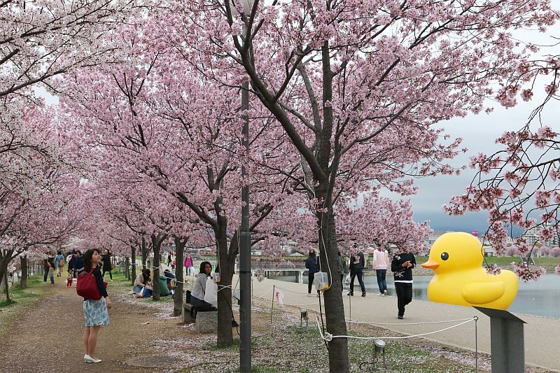 大阪にある北京ダック食べ放題のホテルに泊まってみました。 | BEASTMAN