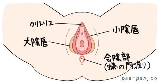 Gスポットについて解説！手マンのやり方と押さえておくべき注意点 | ユメトノ