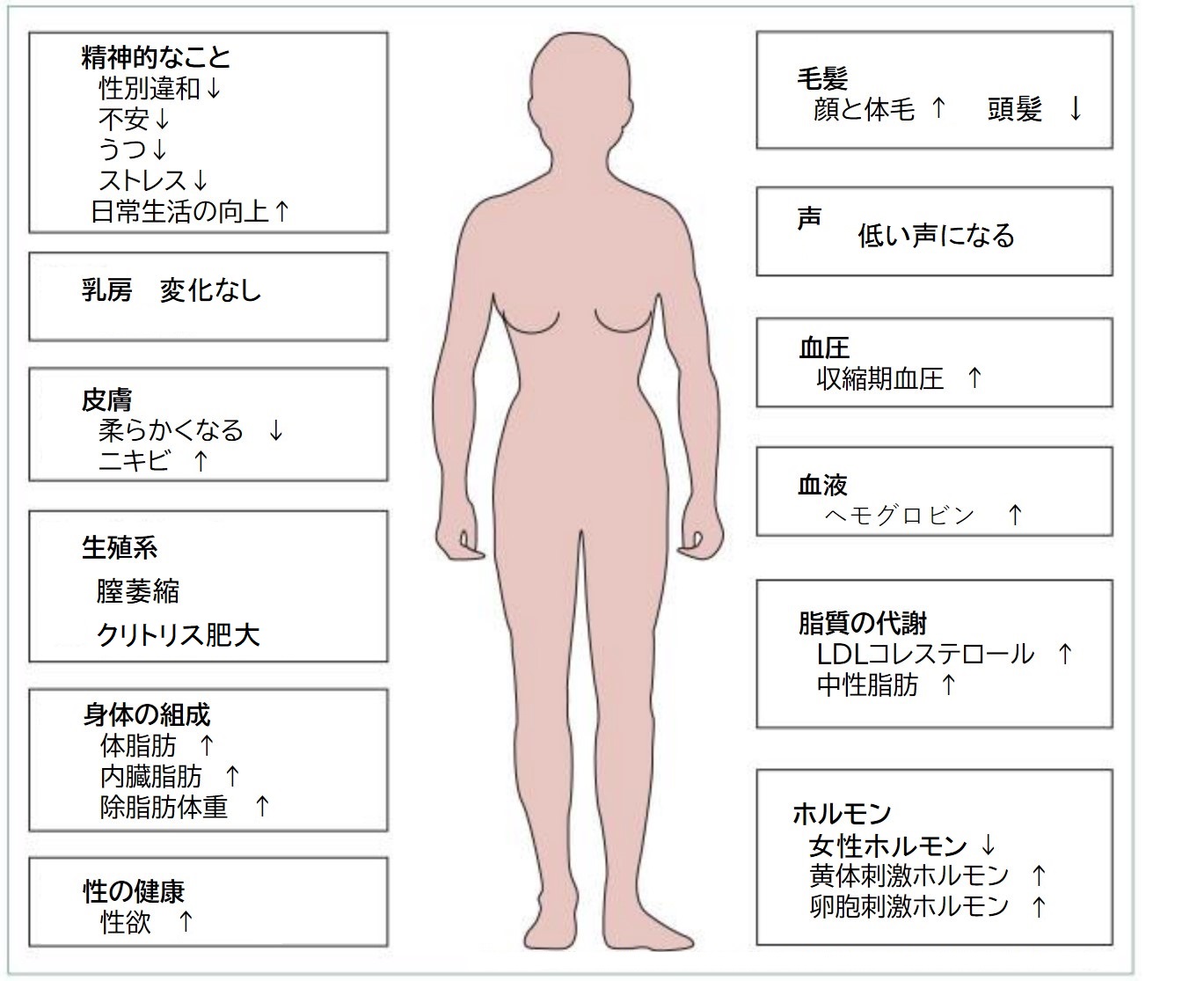 女性の包茎】クリトリス包茎とは？原因や影響を徹底解説！│SELECT CLINIC TIPS