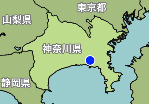 神奈川）藤沢市鵠沼海岸でサル出没 １０月１８日朝（日本不審者情報センター）｜ｄメニューニュース（NTTドコモ）