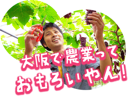 YUIME株式会社の中途採用 求人転職サイトGreen グリーン