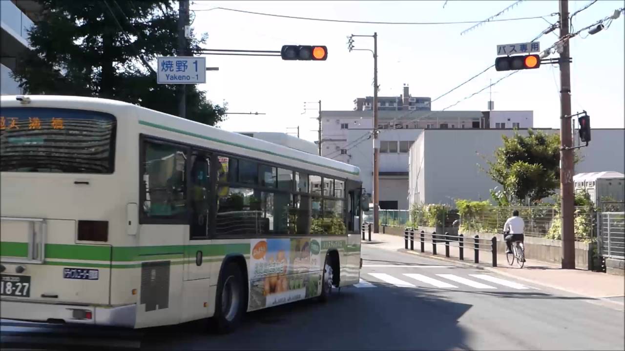 バス専用信号機