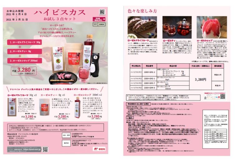 投資商品説明用チラシ改善事例 - 販促物デザイン・セミナーのNasunoデザインワークス