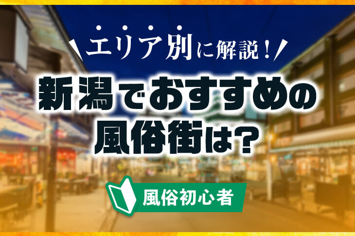 新潟の風俗エステの週間お店アクセスランキング [新潟ナイトナビ(風俗・デリヘル)]