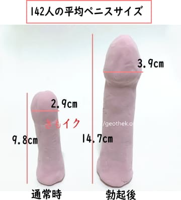 17cmのちんこは中途半端？同サイズの物との比較と女性の理想のサイズ｜Cheeek [チーク]