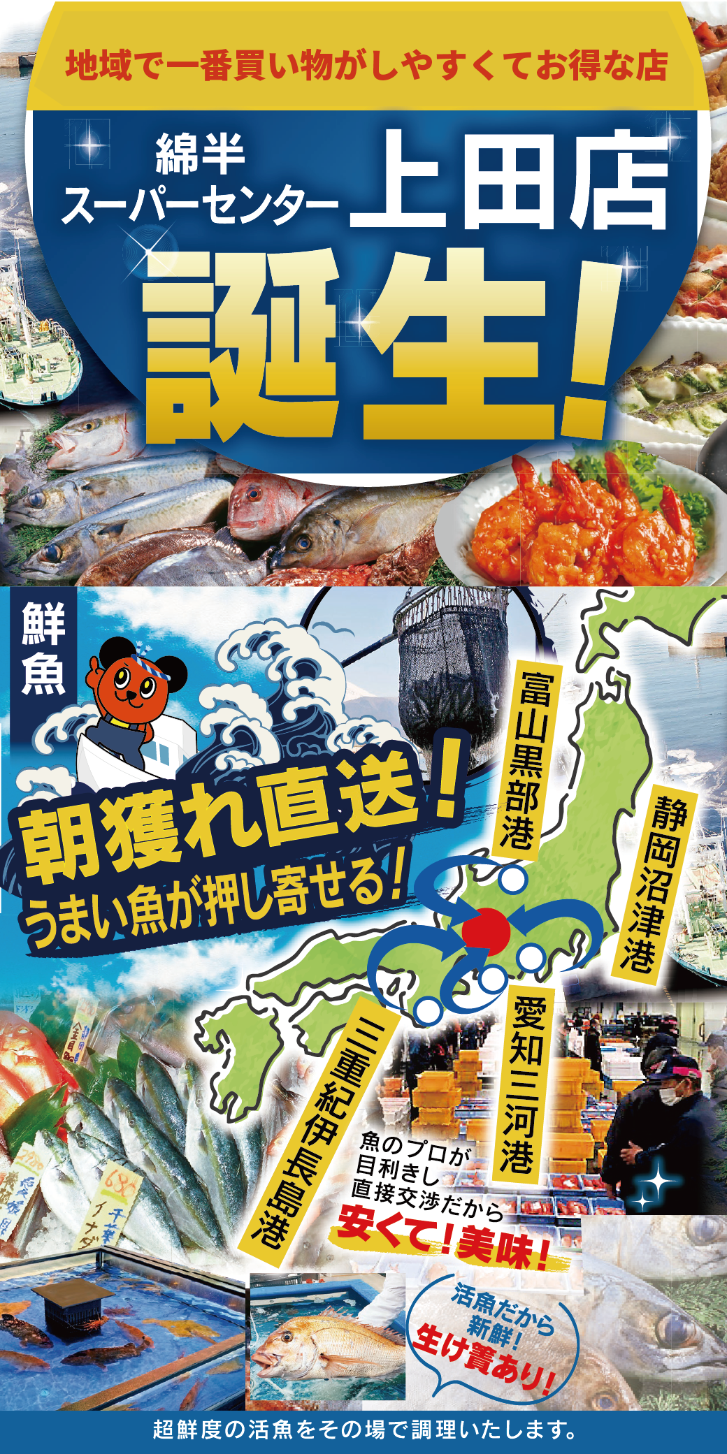 綿半ホームエイド国分寺店の最新チラシ・店舗情報無料で見られるShufoo! シュフー