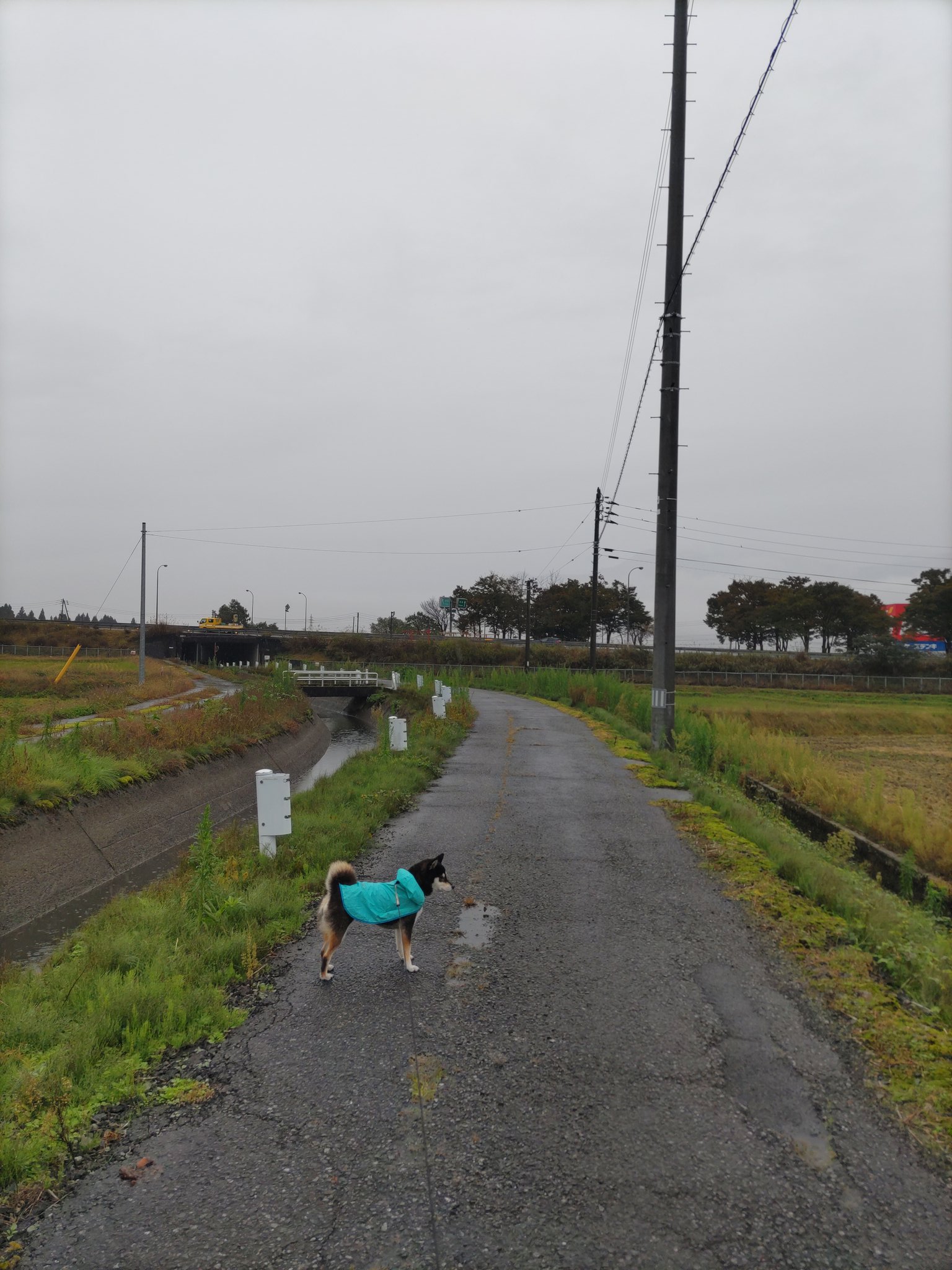 サンバレーひぐち 宿泊予約【楽天トラベル】