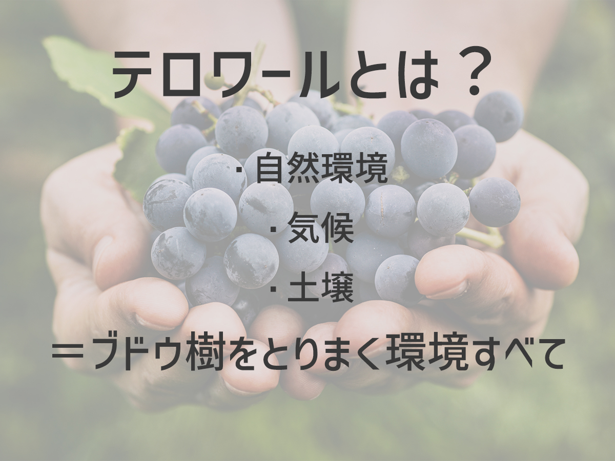 エノテカ公式 on X: 