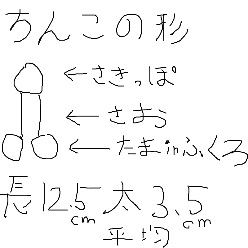 あそこの大きさの秘密！男性の身長とペニスのサイズの関係/ラブナイト【恋本コラム】