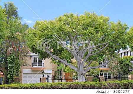 高級住宅地がヒルズと名付けられる理由富裕層向け情報 ハウジング - ENRICH エンリッチ