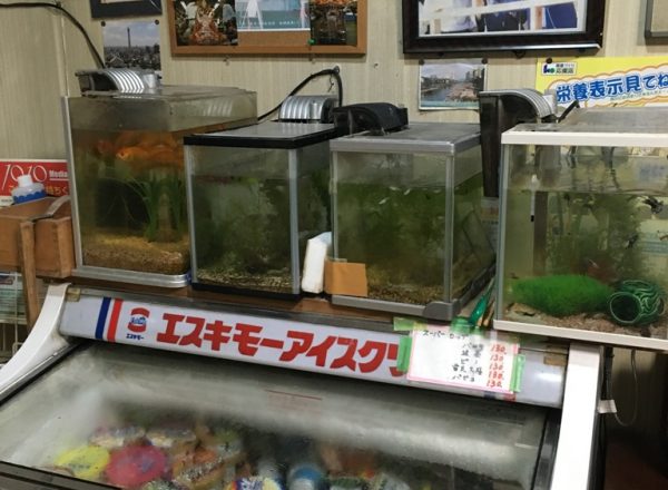 クーポンあり】個室サウナ・プライベートサウナがある門前仲町駅(東京都)近くの温泉、日帰り温泉、スーパー銭湯おすすめ【2024年度版】｜ニフティ温泉