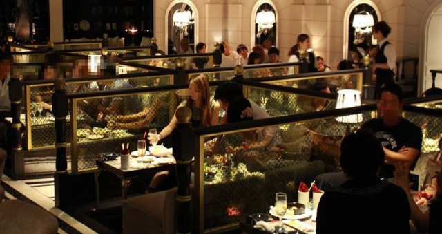 @aiseki_syokudo's video Tweet