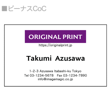 英語表記見本名刺テンプレートサンプル – はんこ屋さん21 公式