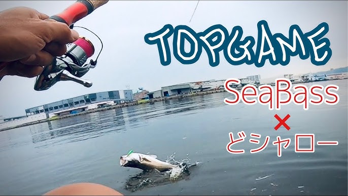 らすたひたすら - 楽天ブログ