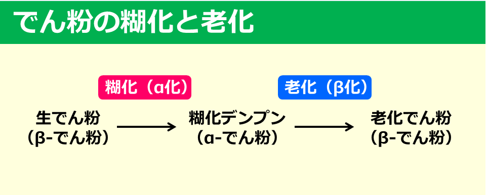 デンプンのα化と蒸し乾燥工程のご紹介KGSコラム京都グレインシステム株式会社