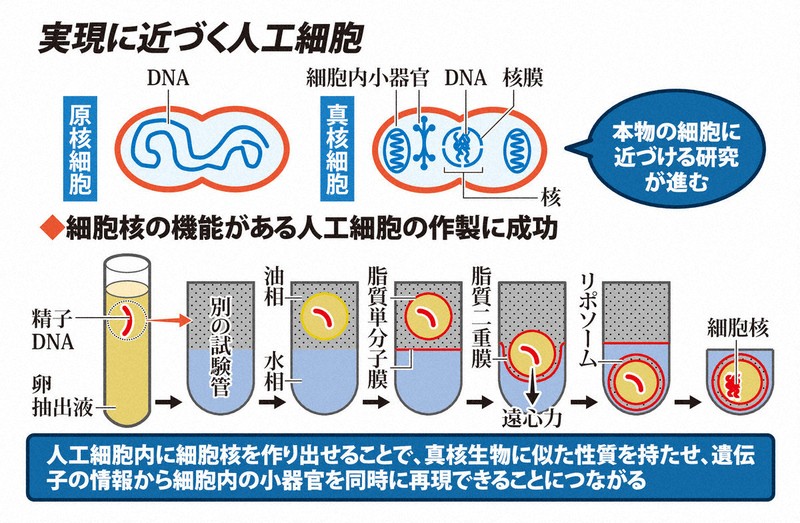 核のボタン」も引き継ぎ トランプ氏の暗号無効化へ - 産経ニュース