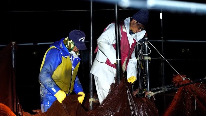 日本CMK、業績が低調に推移4-9月連結電波新聞デジタル