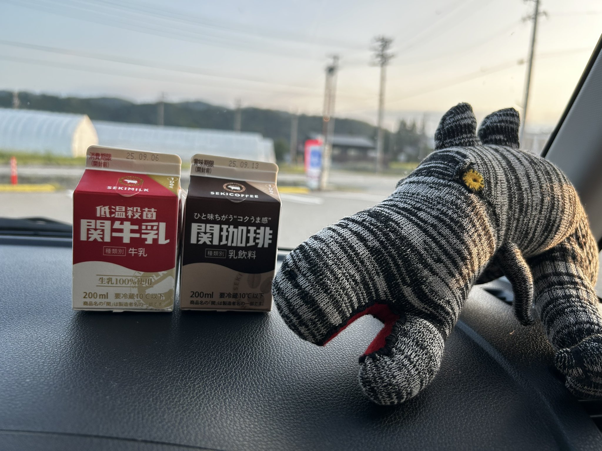 ご当地コーヒー牛乳 関珈琲 - さびん倉庫