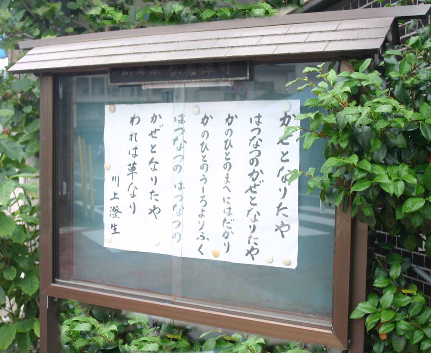 新潟県の記事 - 日本文化と今をつなぐJapaaan