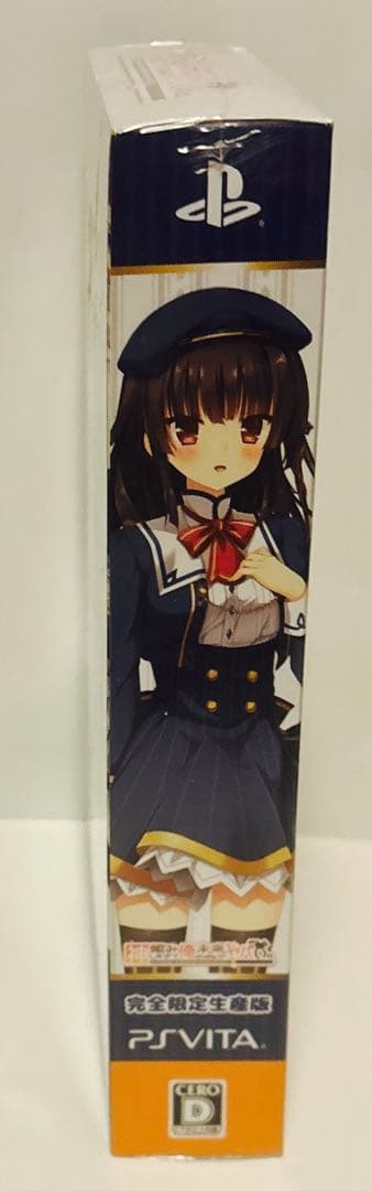 ソフトのみ PSVITA 神頼みしすぎて俺の未来がヤバい