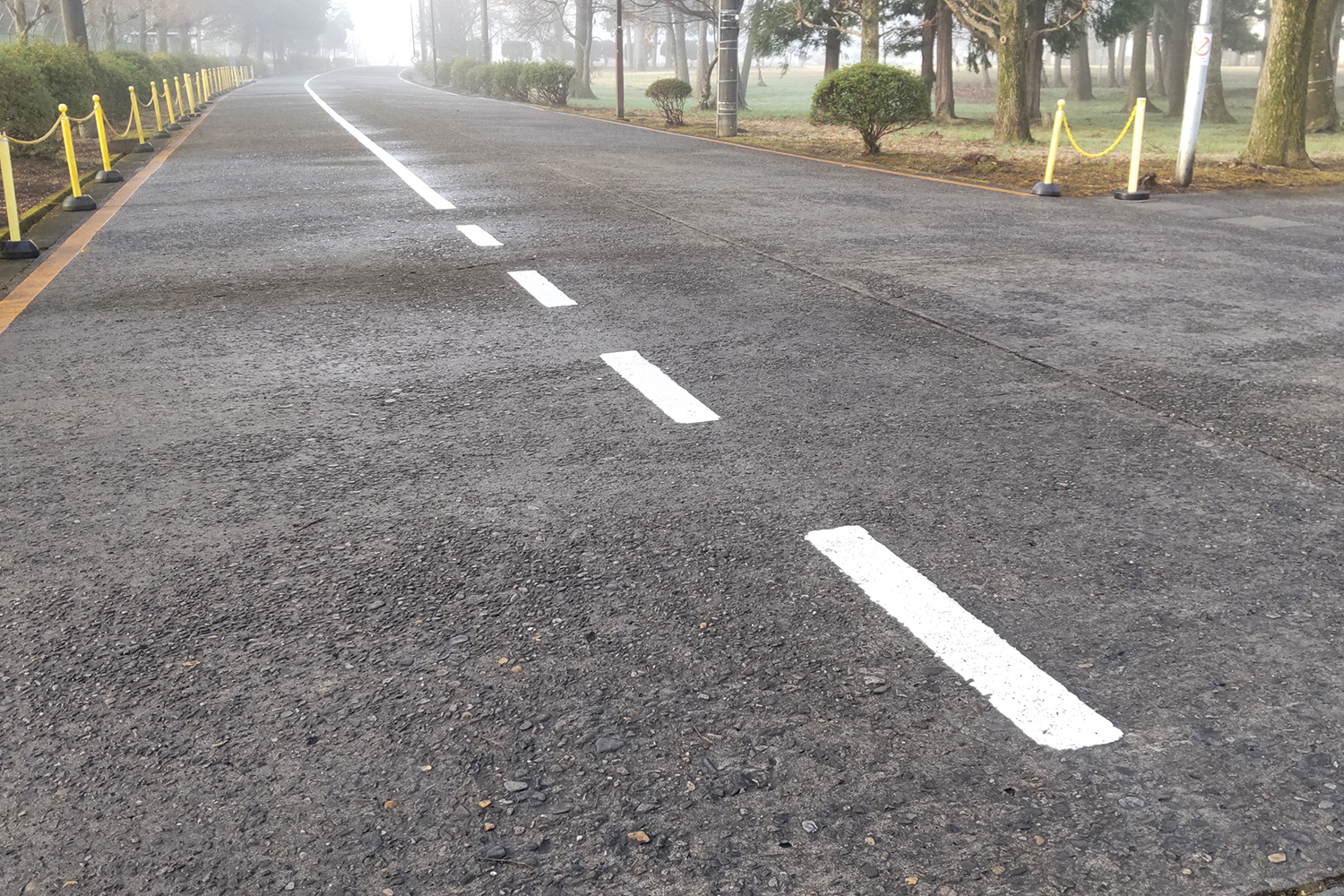 車線変更してはいけない、車線境界線はどれでしょう？ネッツトヨタ愛媛株式会社