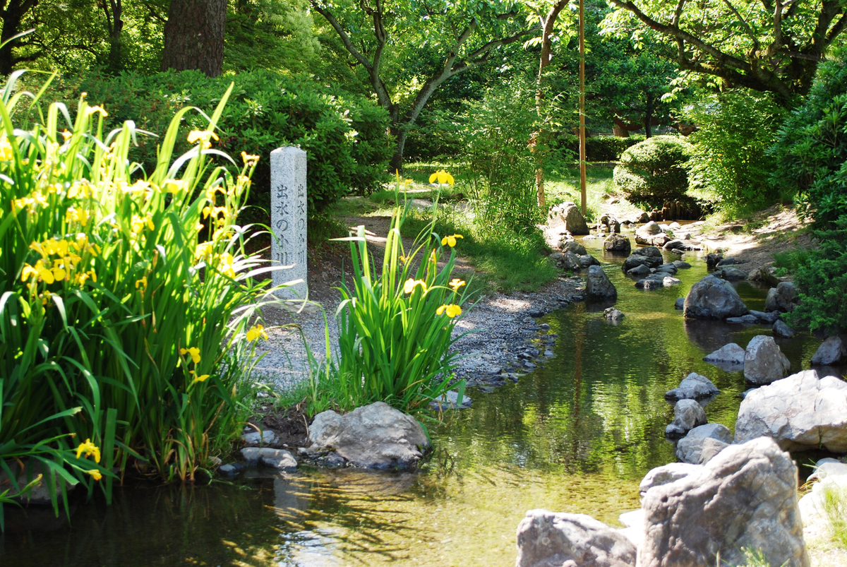 八瀬 ～京都の避暑地～ ゲストハウスのスタッフブログ