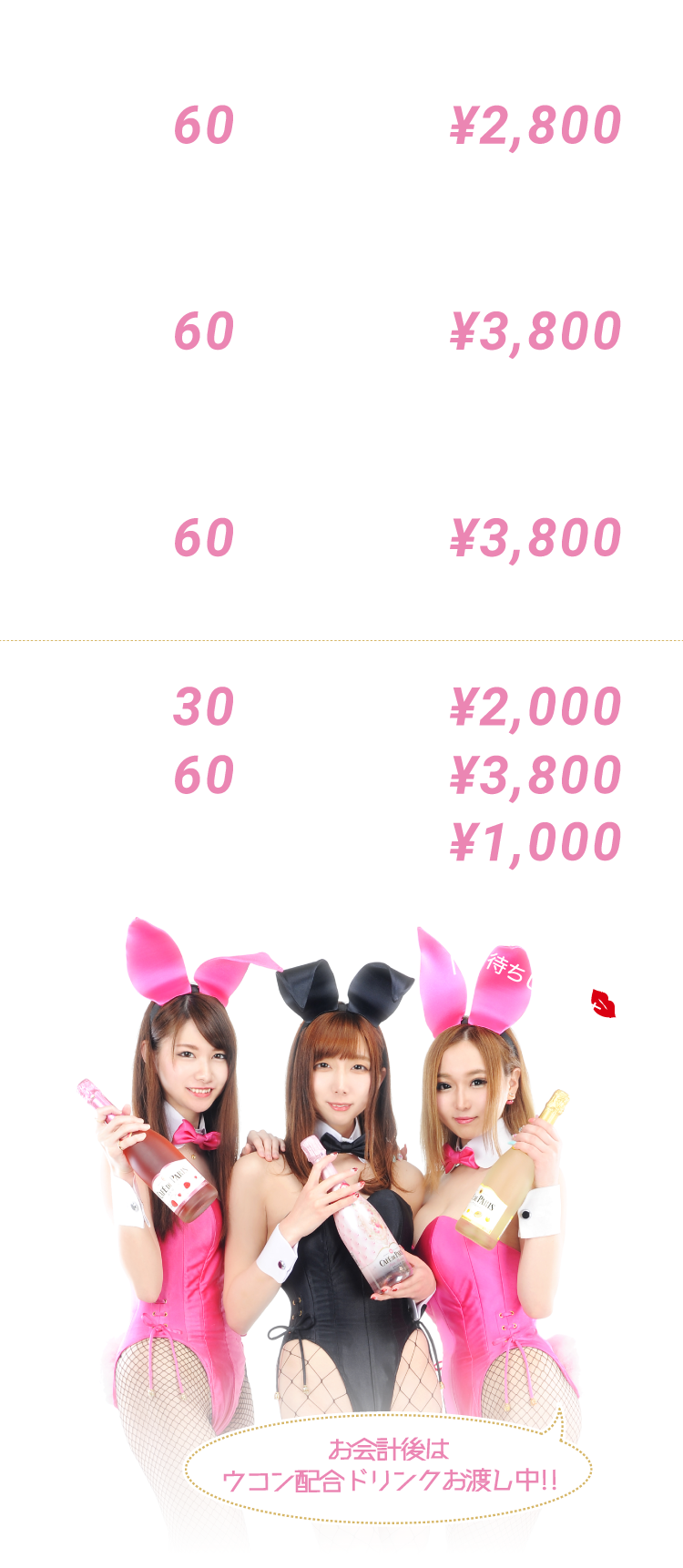 秋葉原のバニーガール・バー「Bunny Palace」（バニーパレス） | シーシャも楽しめるガールズ バー。メイドやコンカフェとはまた違うアキバならではのバニーガールのお店です。深夜営業も実施中！