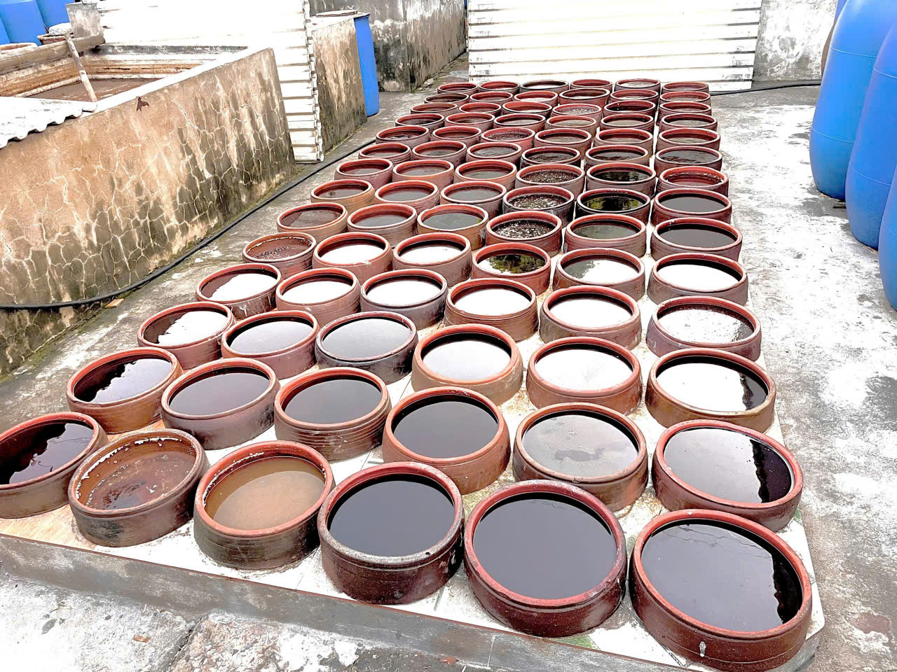 歴史を超えたロシアとトルコの急接近 コーカサス分割と21世紀のグレート・ゲーム 2 3JBpressジェイビープレス