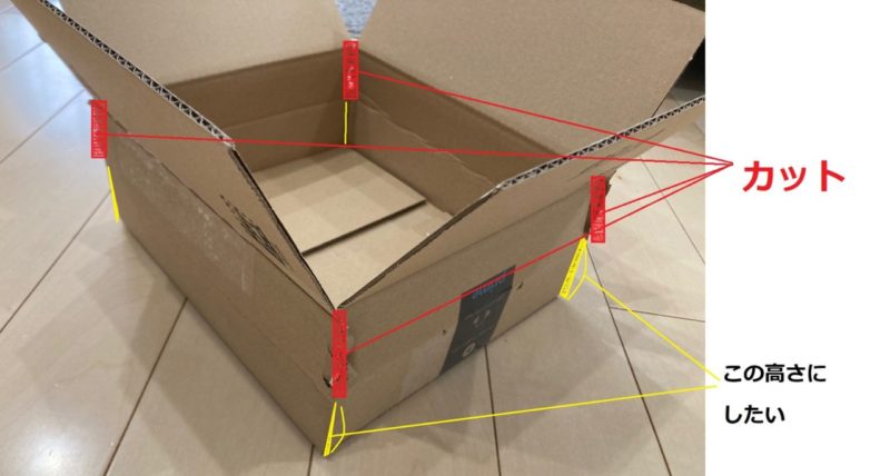 荷物がダンボールより小さい 。調整するコツを紹介