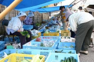 村上 のぞみ|札幌すすきの風俗店(ファッションヘルス)【プルプル倶楽部】|北海道プルプルグループ公式サイト