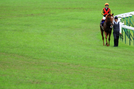 オルフェーヴル8馬身差ラストランからきょうで10年 衝撃の有馬記念を振り返る競馬ニュース - netkeiba