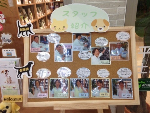 スタッフ紹介ボード: 山口歯科クリニック 医院ブログ