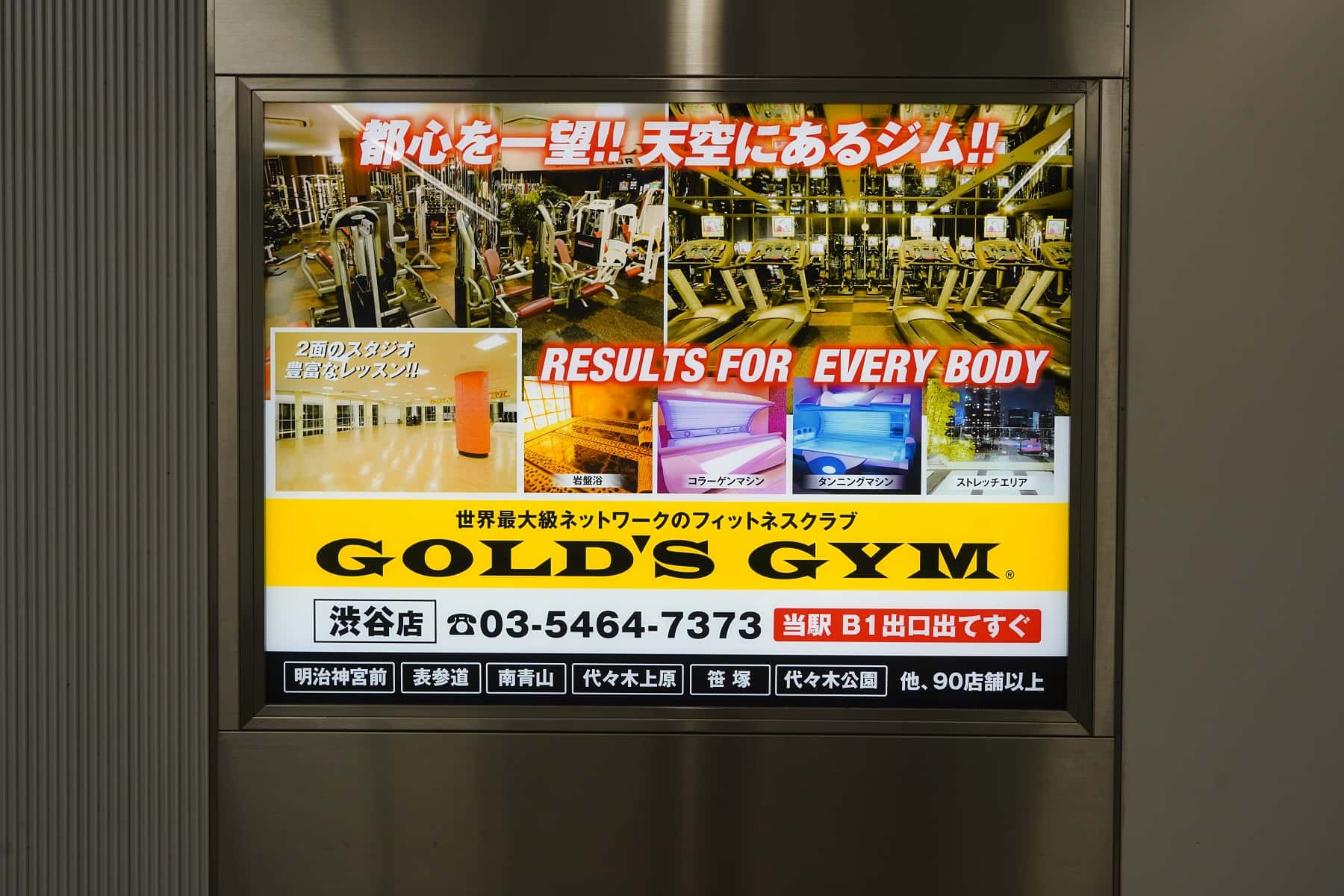 2025年最新 Yahoo!オークション -ゴールドジム 広告、ノベルティグッズ の中古品・新品・未使用品一覧